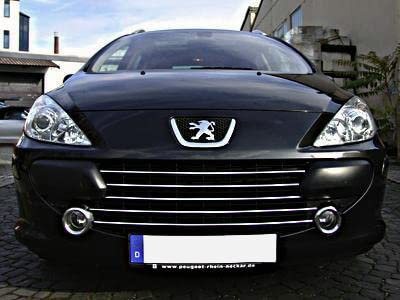 Luxyline Baguette de calandre chromée Compatible Peugeot 307 05-09 Peugeot 307 CC 05-09 Peugeot 307 SW 05-09