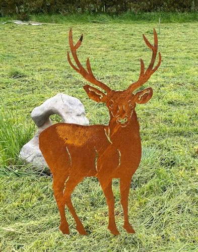 Hirsch nach vorne schauend 117x66cm zum Stecken Gartenstecker Edelrost Gartendeko Rost Metall Rostfigur Hirsch Kitz Tier