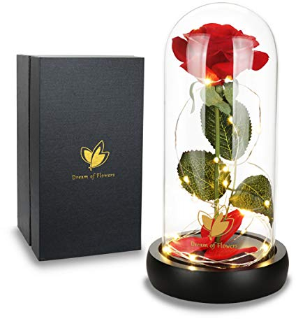 DREAM OF FIOWERS Rose Romantique pour Femme dans Un dôme en Verre avec lumière LED Base en Bois pour Mariage, Saint-Valentin (Rose Noire de Base)