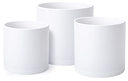 D'vine Dev Lot de 3 Pots de Plantation de Couleur Blanche pour Plantes avec Trou de Drainage et sauces sans Couture, Taille M, 74-E-M-1