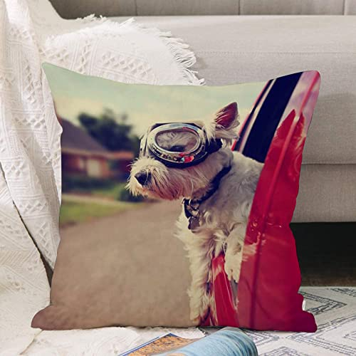 Kissenbezug 45x45 cm,ein süßer Westie West Highland Terrier Hund, der in einem Auto auf ein,Outdoor Kissen Kissenbezüge Kissenhülle Sofa Kissen dekokissen Zierkissen für Wohnzimmer Garten deko draußen
