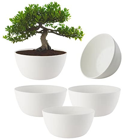 ECOMACETAS FLOWERPOT STORE Maceta Bonsai, Macetas para Bonsais, Cactus, Suculentas, Crasas Redonda Baja de Plástico Blanca (5, 20 cm)