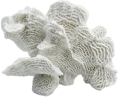 Künstliche Meeresfächer Korallenstatue Skulptur Dekor Strandhaus Dekorationen für Zuhause Harz Koralle Küste nautische Strand Party Hochzeit Wohnzimmer Schlafzimmer Tisch Regal Dekor - Weiß
