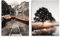 STYLER Leinwandbilder Set View 2x 32x42 cm (AUFHÄNGFERTIG) - Bergsee und nebeliger Baum - Naturlandschaft für Wohnzimmer und Schlafzimmer - Ruhe und Erwachen