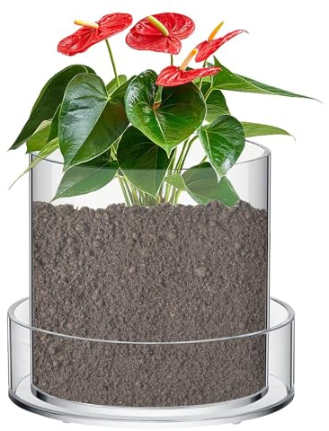 Yonuaret Klare Töpfe für Pflanzen | Transparente Pflanztöpfe,Durchsichtige Behälter Becher mit Untersetzer für Blumen Zimmerpflanzen Anzucht und Wachstum