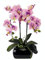 Kunstblume Schmetterling Orchidee mit Blätter und Luftwurzeln in Schale aus Keramik Künstliche Blume Kunstorchidee Phalaenopsis mit Übertopf Kunstpflanze Hochzeit Deko Seidenblume Real Touch Blüte