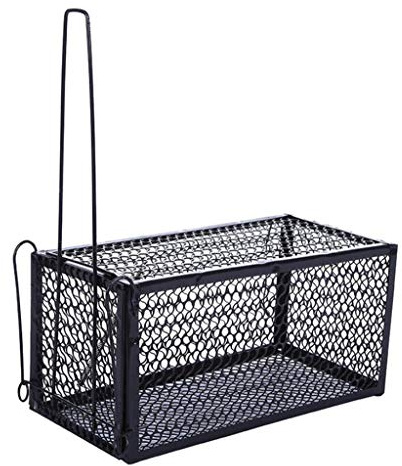 Humane Live-Rattenfalle Käfigfalle Chipmunk- Anti-Nagetiere, Eisenkäfig Zum Fangen Von Rattenfallen, 28 × 14 × 14 Cm Schwarz,L