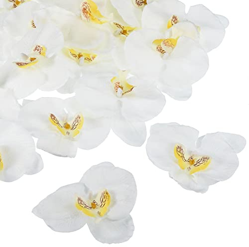 PATIKIL 20Pack Künstliche Orchidee Blumenköpfe Seide Phalaenopsis 3.9 Weiß | Falsche Schmetterling Orchidee Köpfe, Für Hochzeit Blumenstrauß Dekor Heimwerker Herstellung