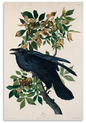 MDCRADI Raven Audubon Druck, Wohnzimmer, Schlafzimmer, Dekoration, moderne ästhetische Wandkunst, Poster, Geschenk für Freunde, ungerahmt, 30 x 45 cm