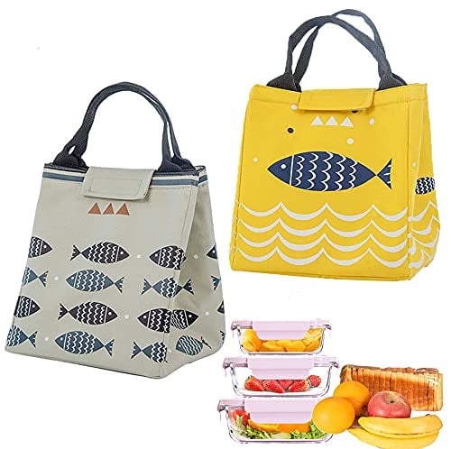 wilsonzin 2 Stücke Lunchtasch, kühltasche, Picknick Tasche Lunch Bag, Mini Isoliertasche Lunch mit Wasserdicht Faltbar für Arbeit, Outdoor-Aktivitäten Schulausflug Erwachsene Studenten und Kinder
