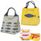 wilsonzin 2 Stücke Lunchtasch, kühltasche, Picknick Tasche Lunch Bag, Mini Isoliertasche Lunch mit Wasserdicht Faltbar für Arbeit, Outdoor-Aktivitäten Schulausflug Erwachsene Studenten und Kinder