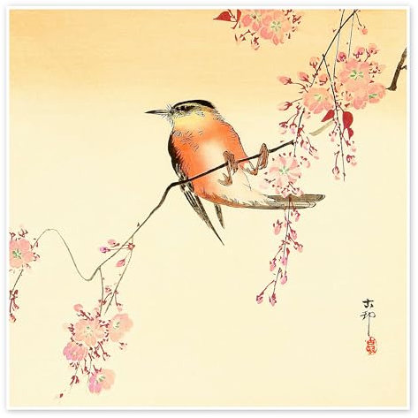 Oiseau rouge et fleurs de cerisier Poster de Ohara Koson 60 x 60 cm Beige Tableaux Décoration murale