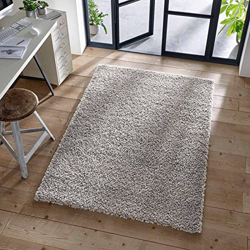 TacaHome Shaggy Teppich I Flauschiger Langflor fürs Wohnzimmer, Esszimmer, Schlafzimmer oder Kinderzimmer | 300 x 400 cm Grau