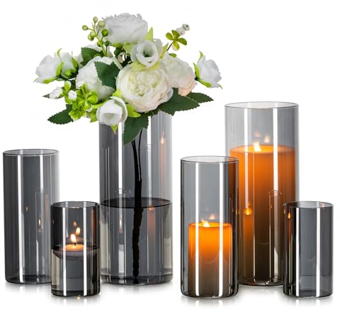 Glasseam Glasvase Zylinder Vase Grau: 6 Stück Glas Vasen Set für Wohnzimmer Deko Glaszylinder Windlicht - Runde Blumenvase Modern Glasvasen für Tischdeko Tulpen Pampasgras (10/15/20cm)