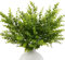 YVONNEYI 12 Stück Künstliche Eukalyptus Zweige 65 cm | Kunstpflanzen für Vasenfüller, Tischdeko Hochzeit & Wohnzimmer | Kunstzweige aus Kunststoff, Deko-Zweige für Blumenarrangements (Ohne Vase)