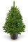 ArtiTree - Künstlicher Weihnachtsbaum 60cm im Topf - Christmas Tree für Innen und Außen, Kunstlich Baum für Weihnachtsdeko, Realistische Optik