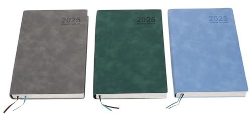 CAXUSD Carnet De Notes Quotidien 2025 Planificateur Mensuel Onglets Pour Le Travail Lécole La Vie Lorganisation