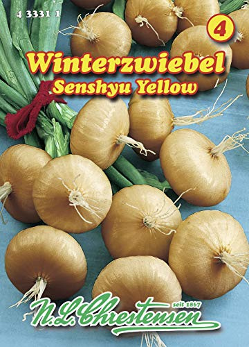 N.L. Chrestensen 433311 Zwiebel Senshyu Yellow Winterzwiebeln (Zwiebelsamen)