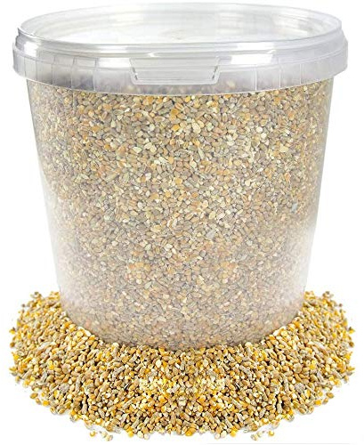 BusyBeaks Chicken Corn Extra | Premium Grade Poultry Feed | Nutritious Oyster Shell, Layers Pellets, Fibre Wheat & Split Maize | High Energy, Protein-Rich Food Mix | Perfect Year-Round Seed (1L Tub)