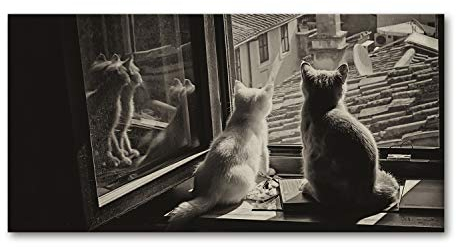 Tulup Glas-Bild Wandbild aus Glas - Wandkunst - Wandbild hinter gehärtetem Sicherheitsglas - Dekorative Wand für Küche & Wohnzimmer 100x50 - Tiere - Katzen am Fenster - Schwarzweiß