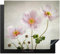 KitchenYeah© Herdabdeckplatte Induktion Schutzmatte Küche Herdabdeckung Ceranfeld Induktionsmatte Cerankochfeld Abdeckung Pink - Blumen - Ölgemälde - Mohn - Rosa - 58x51 cm