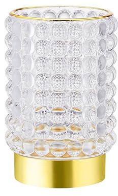 LEICURACE Make-up-Pinselhalter, Zahnbürstenhalter, Schreibtisch-Stiftehalter, multifunktionaler Vintage-Pinselbecher aus Glas (A38-1-US/transparent/L)