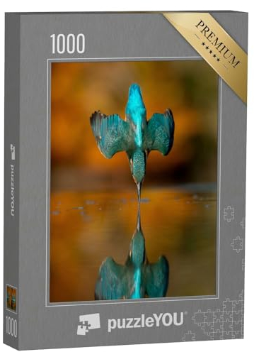 puzzleYOU: Puzzle 1000 Teile „Eisvogel taucht“ – aus der Puzzle-Kollektion Vögel, Eisvogel