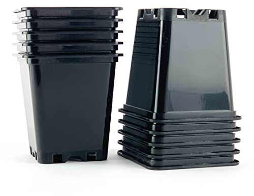 IVORYS-GARDEN 5 x Stück 0,5 L Anzuchttöpfe 9 x 9 x 10 cm vierkant Blumentöpfe klein Vorzuchttöpfe aus PP Kunststoff für Pflanzen Topf Aufzuchttöpfe Gewächshaus Tomaten Chili Pflanztopf Anzucht