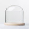 ENGFGH Cloche Ronde en Verre avec Base en Bois, diamètre 20 cm, boîte de présentation Transparente for Plantes, Fleurs séchées, décorations et Figurines DIY(20x20cm)