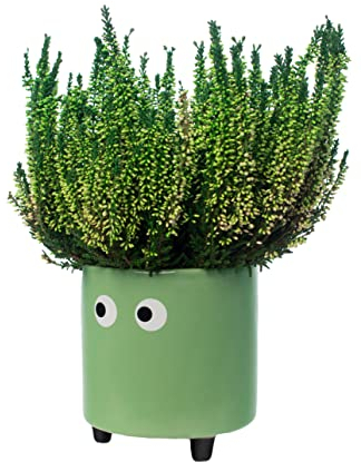 Fisura - Originale vaso da fiori con design a occhio. Vasi da giardino moderno decorativo. Vaso a gambe per cactus. Vaso in ceramica per fiori e piante grasse. 13 x 12,5 cm. (Verde)