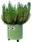 Fisura - Macetero Original con diseño de Ojos. Macetero Decorativo Interior. Macetero con Patas para Cactus. Maceta de cerámica Verde para Flores y suculentas.13 x 12,5 cm.
