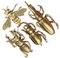 snowowl 4 Stück Vintage Messing Gold Bienenkäfer Dekorationen Statuen Skulptur Solides Metall Tier Insekten Ornament Miniatur-Figuren Lange Horn Käfer für Home Office Garten Desktop Decor