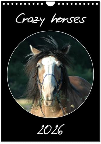 Crazy horses (Wandkalender 2026 DIN A4 hoch), CALVENDO Monatskalender: Pferde von ihrer komischen Seite (CALVENDO Tiere)