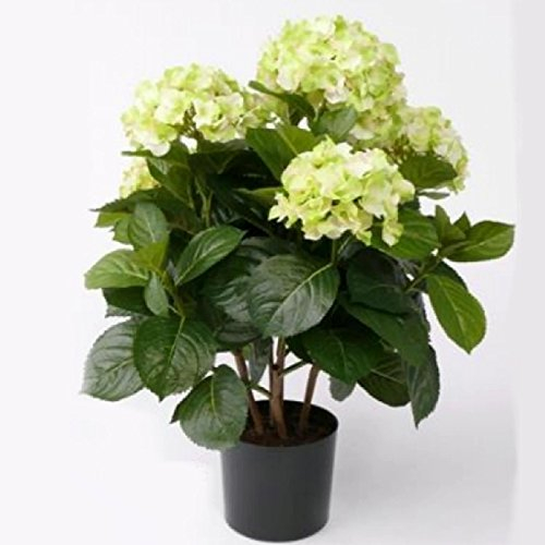 Trauer-Shop Künstliche Hortensie Creme grün - Kunstblume Hortensienpflanze. H 36cm.