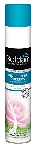 BOLDAIR - Destructeur d'odeurs parfumants Menthe rose - Absorbe, neutralise et détruit les mauvaises odeurs - Pulvérisation sèche - Efficacité longue durée - Aérosol - 500ml - Fabrication Française