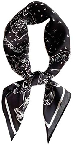 WENLOOY Quadratisches Satin Seide Haarschal Kopftuch für Damen/Herren Krawatte Bandanas Einstecktuch, Fj02-14
