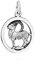 NKlaus 18mm Sternzeichen Steinbock oxidiert 925 Silber diamantiert Anhänger Horoskop 13712