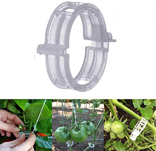 MIHEY 300 Stück Tomaten-Spalier-Clips, Tomaten-Ranken-Clips, Pflanzenstütz-Clips für Ranken-Gemüse, um aufrecht und gesünder zu wachsen