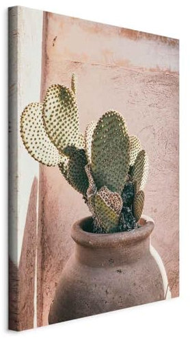 murando Quadro Cactus 40x60 cm 1 Pezzo - Stampa su Tela Strutturata XXL Grande - Quadri Moderni Soggiorno Grandi - Stampe da Parete Murale Arte Moderno Pittura - Cactus Succulente b-B-10110-b-a