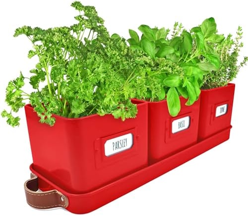 Green Thumbz Macetas Decorativas Interior con Macetero Rectangular con Mangos de Cuero - Macetas y Jardinera Rectangular Ideales para Plantas de Interior - Color Rojo