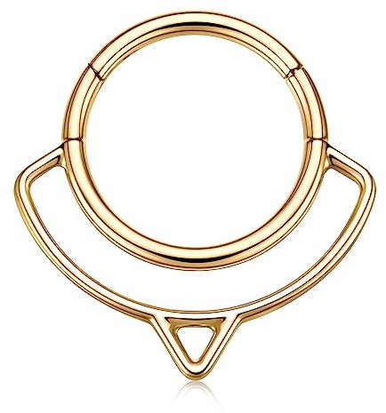 hengkaixuan Double Stacked Septum Schmuck Daith Ohrringe 16G Nose Hoop Ring Gold Septum Ring 10mm Chirurgenstahl Higned Segment Clicker Ring Helix Knorpel Tragus Hoop Ohrringe Conch Piercing-Schmuck