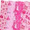 ZJHiome 8 Blatt rosa Prinzessin Geschenkpapier Rosa Mädchen Geburtstag Party Supplies für Geburtstag Hochzeit Junggesellinnenabschied