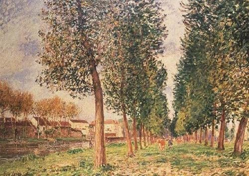 PSVDCTOO Gefeiert Wandbilder Kunst Poster Poster Bilder Die pappelallee bei moret cloudy day morning von alfred sisle Vintage Wandbild für Heimdekoration 60x90cm