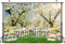 AIIKES 7x5FT Frühling Hintergrund Weiße Blumen Wald Baum Fotografie Hintergrund Geburtstagsfeier Hochzeit Baby Dusche Dekor Foto Studio Prop 12-665