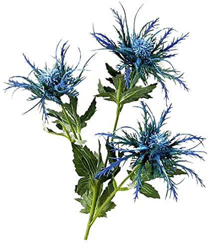 CAKEEYUM Artificial Eryngium Thistles Bunch Simulation Flowers Plants 3-Fork for Home Decor Centerpieces Light Blue 1PCEryngium Flowers Artificial Eryngium Thistle