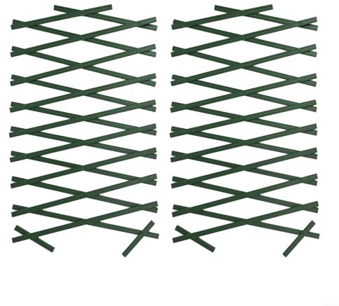 Besttoolifes Treillis mural extensible en bois pour plantes grimpantes, décoration et cloisonnement pour clématites, vignes, roses, décoration extérieure, vert (2 pièces)