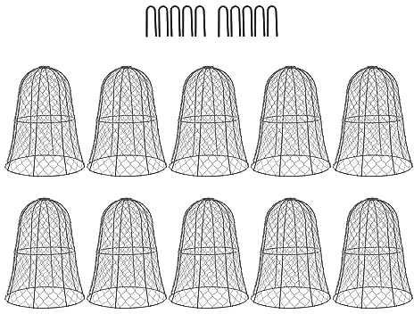plplaaoo Gartenhuhn Draht Cloche Pflanzen Beschützer Abdeckung 10 Packungen Schwarz eingedickte Konstruktion Glockenform Design für Garten Pflanzenschutz vor Tieren Eisenmaterial