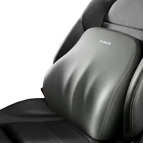 AIXIMA Coussin Lombaire Voiture, Coussin Chaise Bureau, Mousse à Mémoire de Forme Coussin Dos Voiture