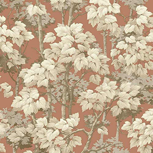 Rivington Burnt Orange Woodland Tree Wallpaper - Leaves Naturistic Forest Modern Contemporary
