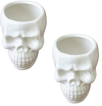 Garneck 2pcs Ceramic Skull Succulent Planter Pots Small Cactus Flower Pots White Desk Table Bookshelf Cabinet Decor Halloween Party Home Office Decorative Container